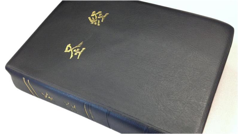 Chinese Bible